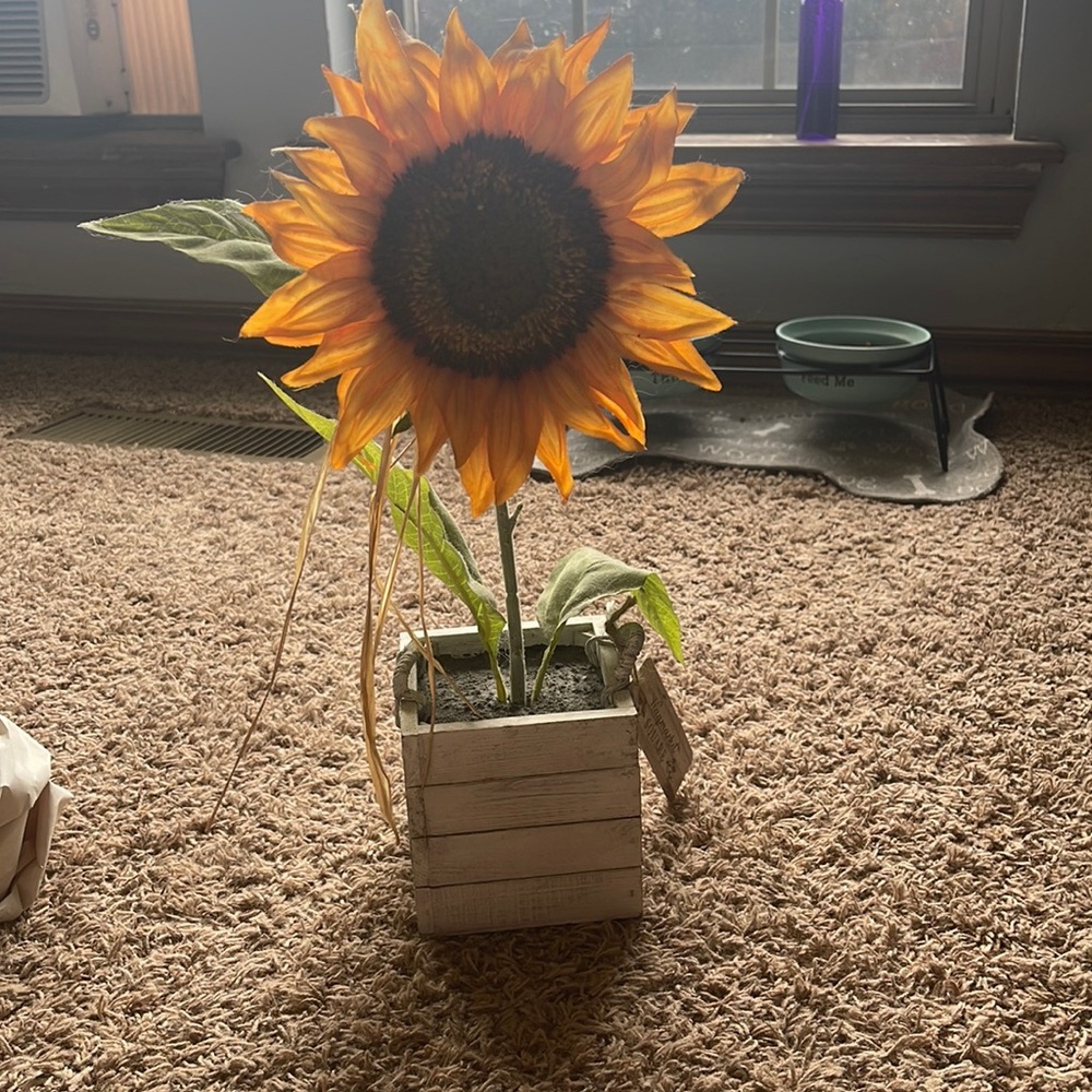 SUNFLOWER HOME DECOR 🌻